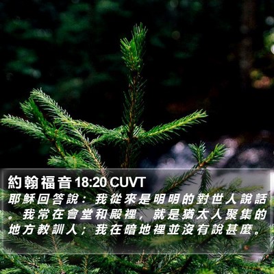 約 翰 福 音 18:20 CUVT Bible Verse Image
