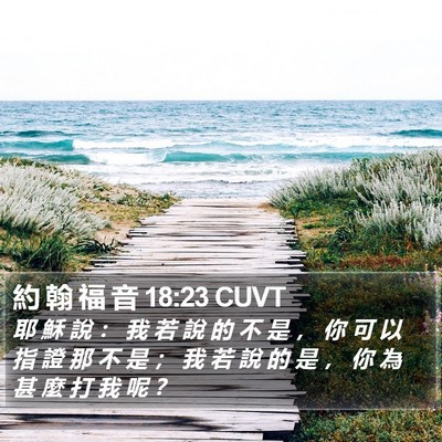 約 翰 福 音 18:23 CUVT Bible Verse Image