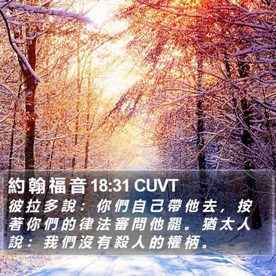 約 翰 福 音 18:31 CUVT Bible Verse Image