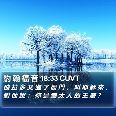 約 翰 福 音 18:33 CUVT Bible Verse Image