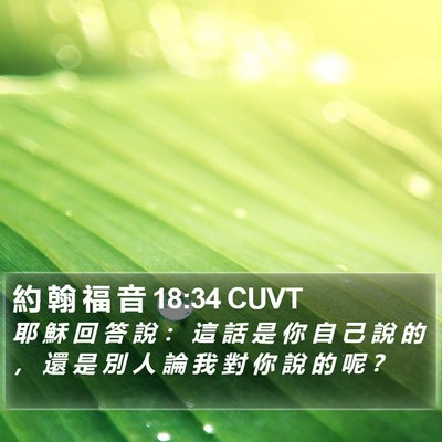 約 翰 福 音 18:34 CUVT Bible Verse Image