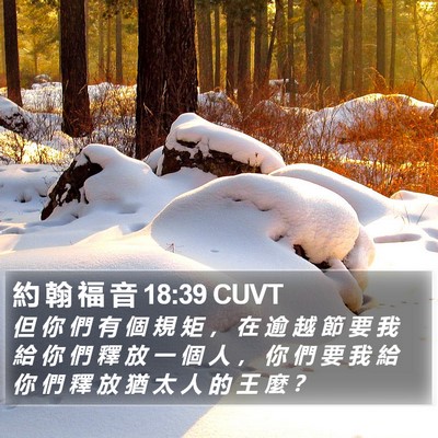 約 翰 福 音 18:39 CUVT Bible Verse Image
