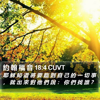 約 翰 福 音 18:4 CUVT Bible Verse Image