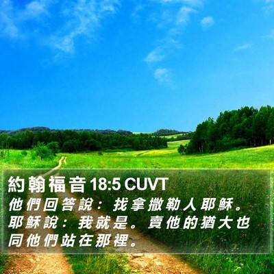 約 翰 福 音 18:5 CUVT Bible Verse Image