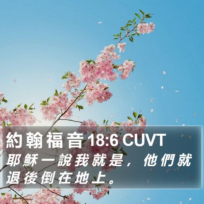 約 翰 福 音 18:6 CUVT Bible Verse Image