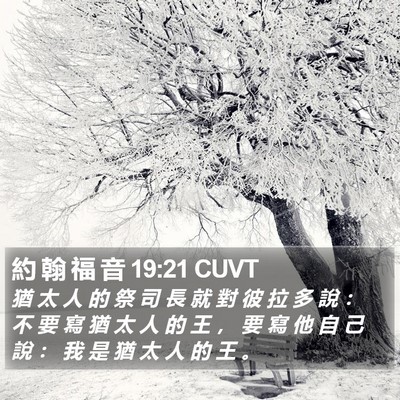 約 翰 福 音 19:21 CUVT Bible Verse Image
