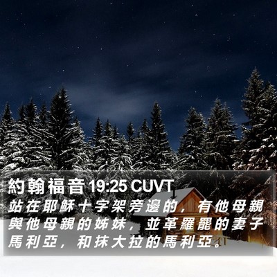 約 翰 福 音 19:25 CUVT Bible Verse Image