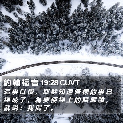 約 翰 福 音 19:28 CUVT Bible Verse Image