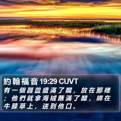 約 翰 福 音 19:29 CUVT Bible Verse Image