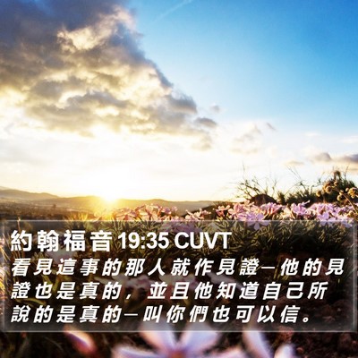 約 翰 福 音 19:35 CUVT Bible Verse Image