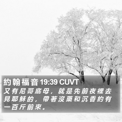 約 翰 福 音 19:39 CUVT Bible Verse Image