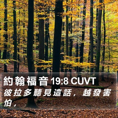 約 翰 福 音 19:8 CUVT Bible Verse Image