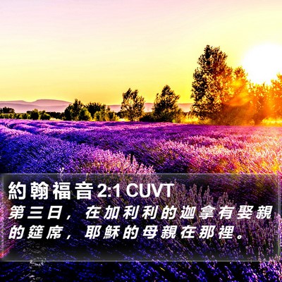 約 翰 福 音 2:1 CUVT Bible Verse Image