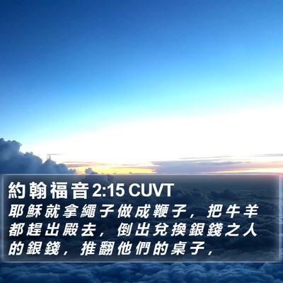 約 翰 福 音 2:15 CUVT Bible Verse Image