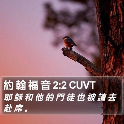 約 翰 福 音 2:2 CUVT Bible Verse Image