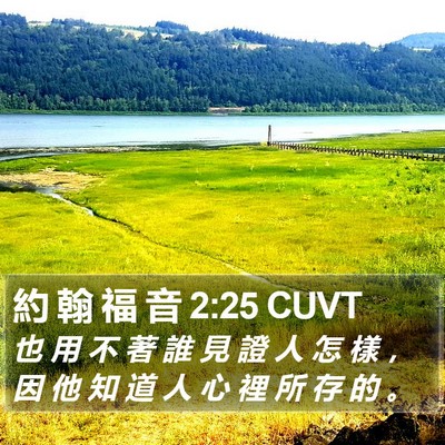 約 翰 福 音 2:25 CUVT Bible Verse Image