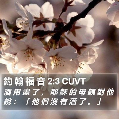約 翰 福 音 2:3 CUVT Bible Verse Image
