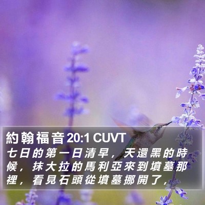 約 翰 福 音 20:1 CUVT Bible Verse Image