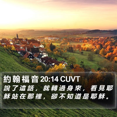 約 翰 福 音 20:14 CUVT Bible Verse Image