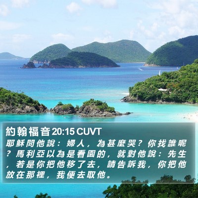 約 翰 福 音 20:15 CUVT Bible Verse Image