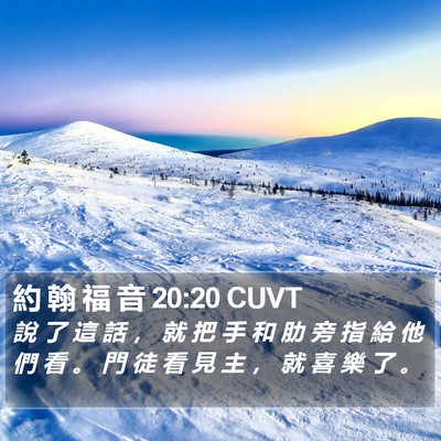 約 翰 福 音 20:20 CUVT Bible Verse Image