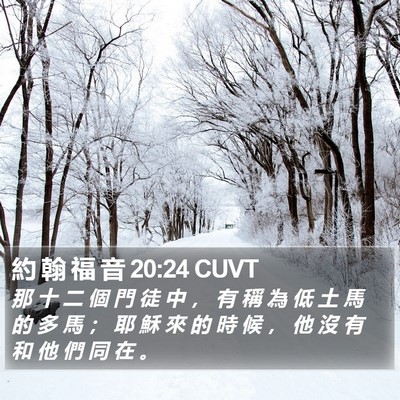 約 翰 福 音 20:24 CUVT Bible Verse Image