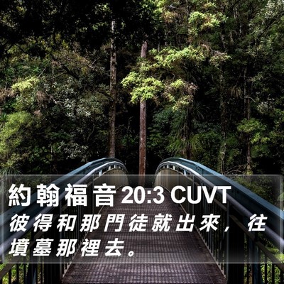 約 翰 福 音 20:3 CUVT Bible Verse Image