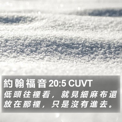 約 翰 福 音 20:5 CUVT Bible Verse Image
