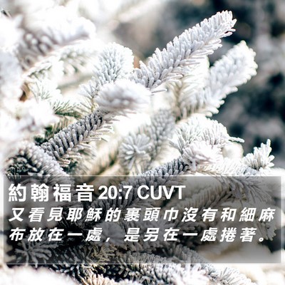 約 翰 福 音 20:7 CUVT Bible Verse Image