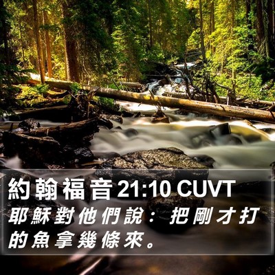 約 翰 福 音 21:10 CUVT Bible Verse Image