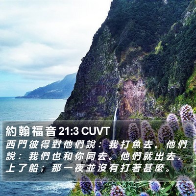 約 翰 福 音 21:3 CUVT Bible Verse Image