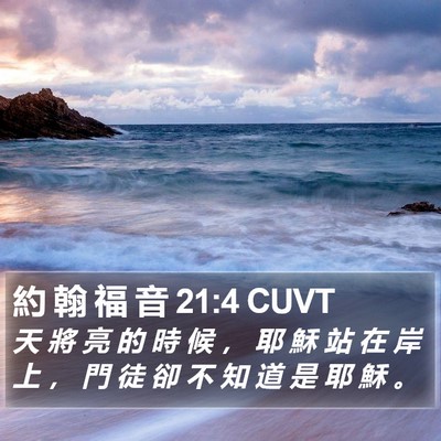 約 翰 福 音 21:4 CUVT Bible Verse Image