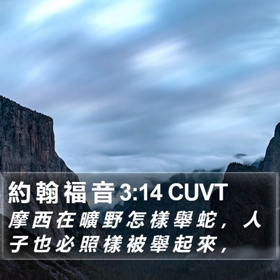 約 翰 福 音 3:14 CUVT Bible Verse Image