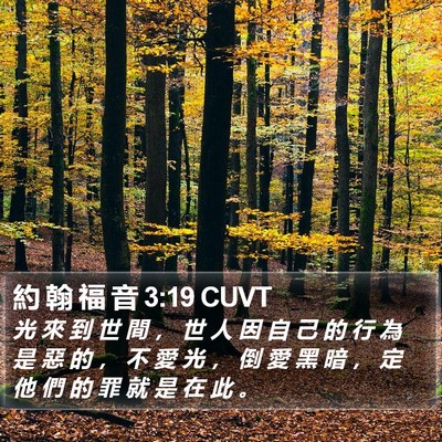 約 翰 福 音 3:19 CUVT Bible Verse Image