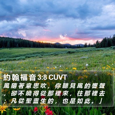 約 翰 福 音 3:8 CUVT Bible Verse Image