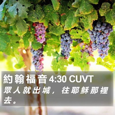 約 翰 福 音 4:30 CUVT Bible Verse Image