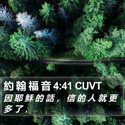約 翰 福 音 4:41 CUVT Bible Verse Image