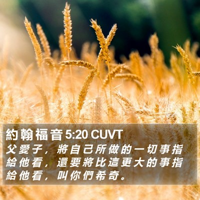 約 翰 福 音 5:20 CUVT Bible Verse Image
