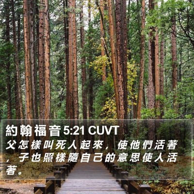 約 翰 福 音 5:21 CUVT Bible Verse Image
