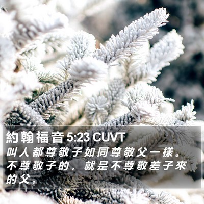 約 翰 福 音 5:23 CUVT Bible Verse Image