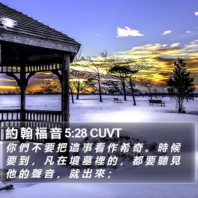 約 翰 福 音 5:28 CUVT Bible Verse Image