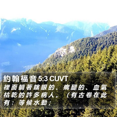 約 翰 福 音 5:3 CUVT Bible Verse Image