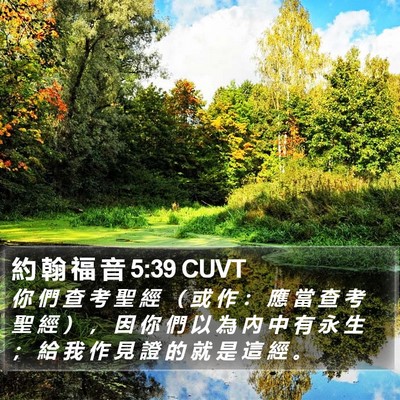 約 翰 福 音 5:39 CUVT Bible Verse Image