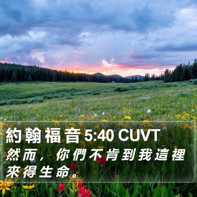 約 翰 福 音 5:40 CUVT Bible Verse Image