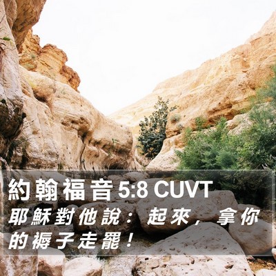 約 翰 福 音 5:8 CUVT Bible Verse Image