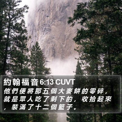 約 翰 福 音 6:13 CUVT Bible Verse Image