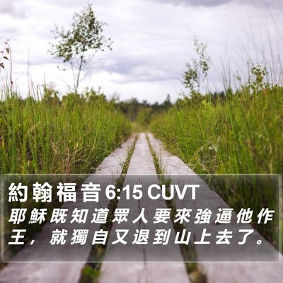約 翰 福 音 6:15 CUVT Bible Verse Image
