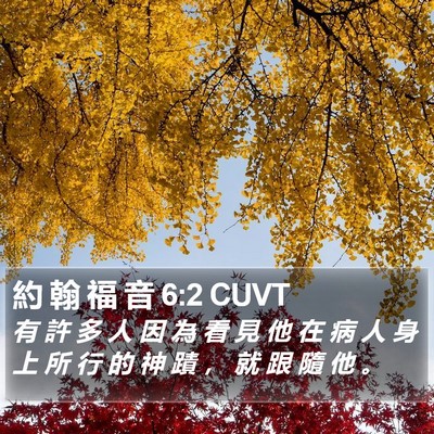 約 翰 福 音 6:2 CUVT Bible Verse Image