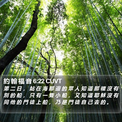 約 翰 福 音 6:22 CUVT Bible Verse Image