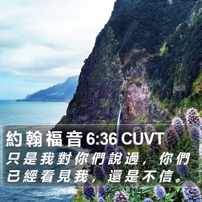 約 翰 福 音 6:36 CUVT Bible Verse Image